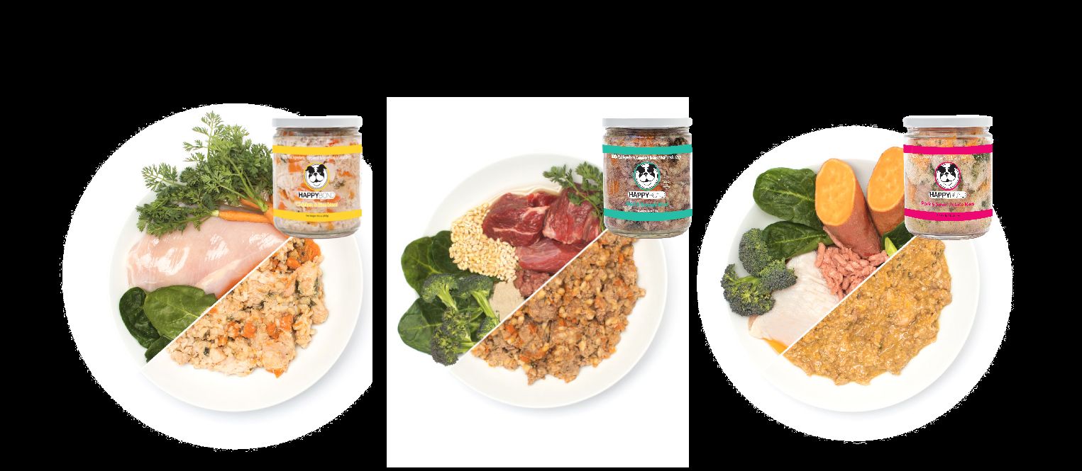 Three HappyBond recipes plated